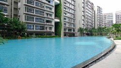d'Nest (D18), Condominium #176281812